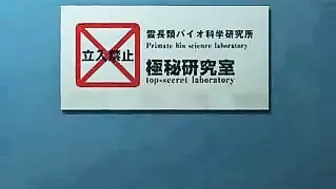 Monkey Trashes Hairy MILF's Dark Head, 3D movie