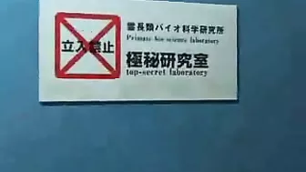 Monkey Trashes Hairy MILF's Dark Head, 3D movie