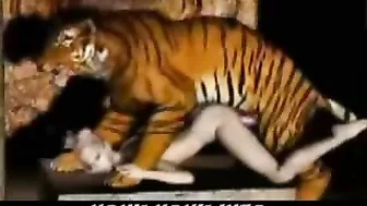 Tiger Fucks Girl - 3D Animation of a tiger fucking a girl.