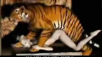 Tiger Fucks Girl - 3D Animation of a tiger fucking a girl.