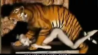 Tiger Fucks Girl - 3D Animation of a tiger fucking a girl.