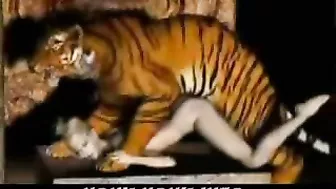 Tiger Fucks Girl - 3D Animation of a tiger fucking a girl.