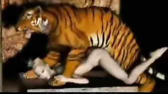 Tiger Fucks Girl - 3D Animation of a tiger fucking a girl.