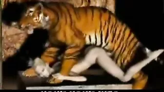Tiger Fucks Girl - 3D Animation of a tiger fucking a girl.