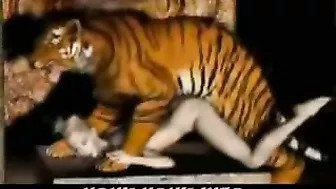 Tiger Fucks Girl - 3D Animation of a tiger fucking a girl.