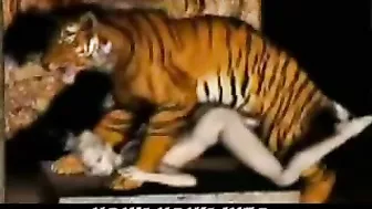 Tiger Fucks Girl - 3D Animation of a tiger fucking a girl.