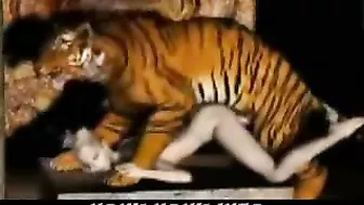 Tiger Fucks Girl - 3D Animation of a tiger fucking a girl.