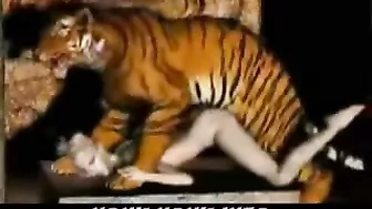 Tiger Fucks Girl - 3D Animation of a tiger fucking a girl.