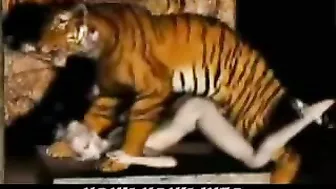 Tiger Fucks Girl - 3D Animation of a tiger fucking a girl.
