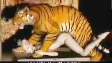 Tiger Fucks Girl - 3D Animation of a tiger fucking a girl.
