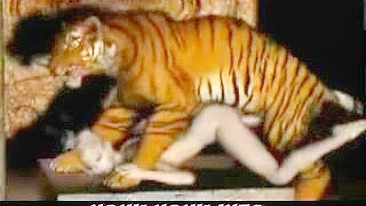 Tiger Fucks Girl - 3D Animation of a tiger fucking a girl.