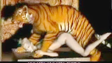 Tiger Fucks Girl - 3D Animation of a tiger fucking a girl.