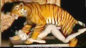 Tiger Fucks Girl - 3D Animation of a tiger fucking a girl.