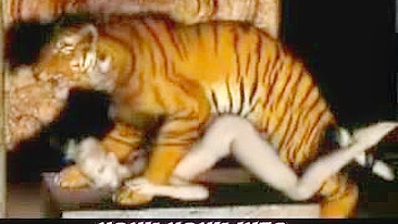 Tiger Fucks Girl - 3D Animation of a tiger fucking a girl.