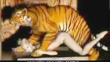 Tiger Fucks Girl - 3D Animation of a tiger fucking a girl.