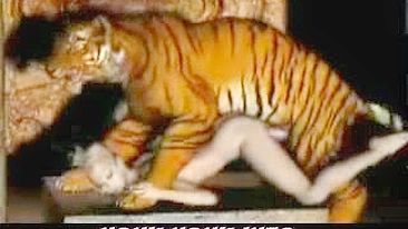 Tiger Fucks Girl - 3D Animation of a tiger fucking a girl.
