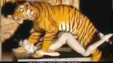 Tiger Fucks Girl - 3D Animation of a tiger fucking a girl.