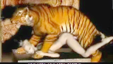 Tiger Fucks Girl - 3D Animation of a tiger fucking a girl.