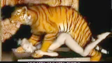Tiger Fucks Girl - 3D Animation of a tiger fucking a girl.