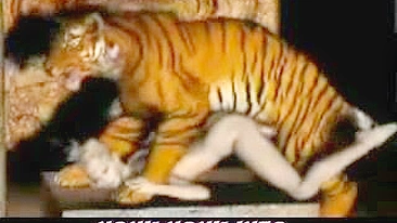 Tiger Fucks Girl - 3D Animation of a tiger fucking a girl.