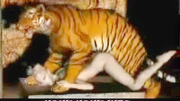 Tiger Fucks Girl - 3D Animation of a tiger fucking a girl.