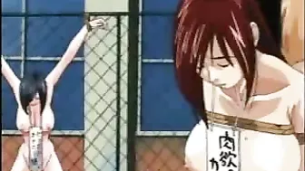 Fucking Busty Anime Babes - Experience the Thrill of 3D Anime Porn!