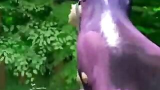 Monstrous Threesome in the Forest - 3D Hentai Fucking