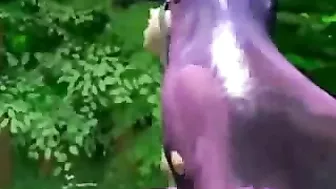 Monstrous Threesome in the Forest - 3D Hentai Fucking Monstrous Threesome in the Forest - 3D Hentai Fucking