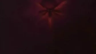 Princess Ghetto Anime Sucks Cock