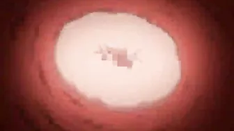 Japanse Anime Cutie Rides Hot Coock