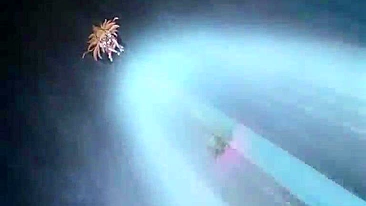 Busty Coed Handjobs Big Cock Facials - 30+ Hot Hentai Scenes!