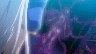 Hentai coed caught by tentacles and hot fucked by shemale anime