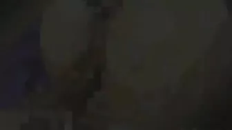 Coed Girl Gets Gangbanged and Cummed in Hentai Porn