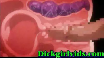 Hentai Shemale Threesome Gangbang - Anime, Toon