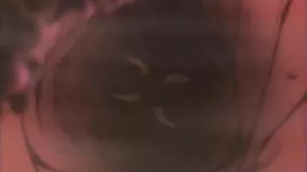 Anime Shemale Hardcore Fun In Sex Party