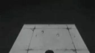 Virgin Cutie Gets Poked by Stranger in the Forest