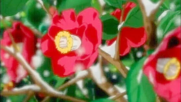 Hentai Girl Gets Fucked Hard While Standing