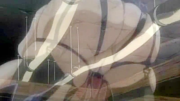 Hentai Porn Video - Shemale with Huge Melon Boobs Gets Ringed in Big Cock and Sucked - Anime, Shemale.