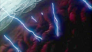 Hentai Shemale Arabian Fuck - Hardcore Anime Toon Porn