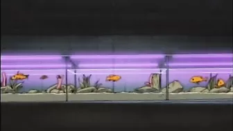 Busty Hentai Schoolgirl Hard Doggystyle Poked