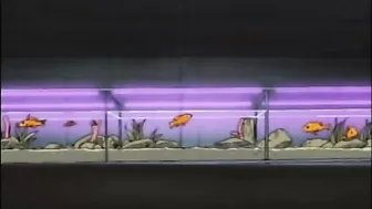 Busty Hentai Schoolgirl Hard Doggystyle Poked