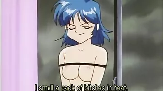 Bondage Hentai Shemale Self Masturbating