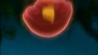 Hentai Maids Chained and Gangbanged by Ghetto Bandits