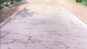 Bald Lesbian Hentai Girls in Anime Sex