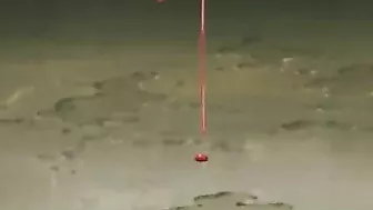 Humiliation and Bondage in Hentai - A Muzzled Submissive's Painful Pleasure