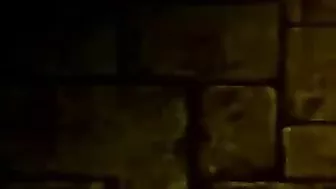 Princess Bound and Fucked by Ghetto Anime Shemale in Doggy Style