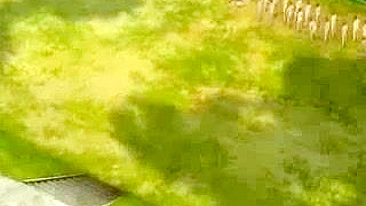 Outdoor Group Sex and Cumshots with Hentai Girls