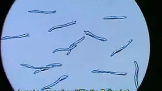 Unleash Your Inner Hentai with this Tentacle Monster's Wild Ride - Busty Masturbation and Anal Drilling!