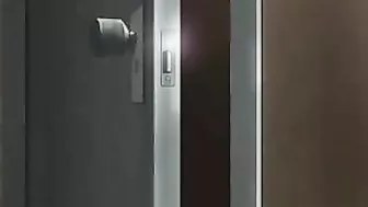 Girl Gets Tittyfucked and Standingfucked in Public Toilet Hentai Video