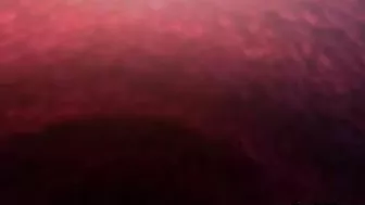 Tentacle Drilling of Adorable Hentai Girl